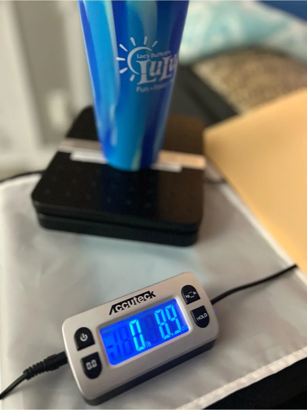 Lulu's Teal and Blue Insulated Tumbler with Logo